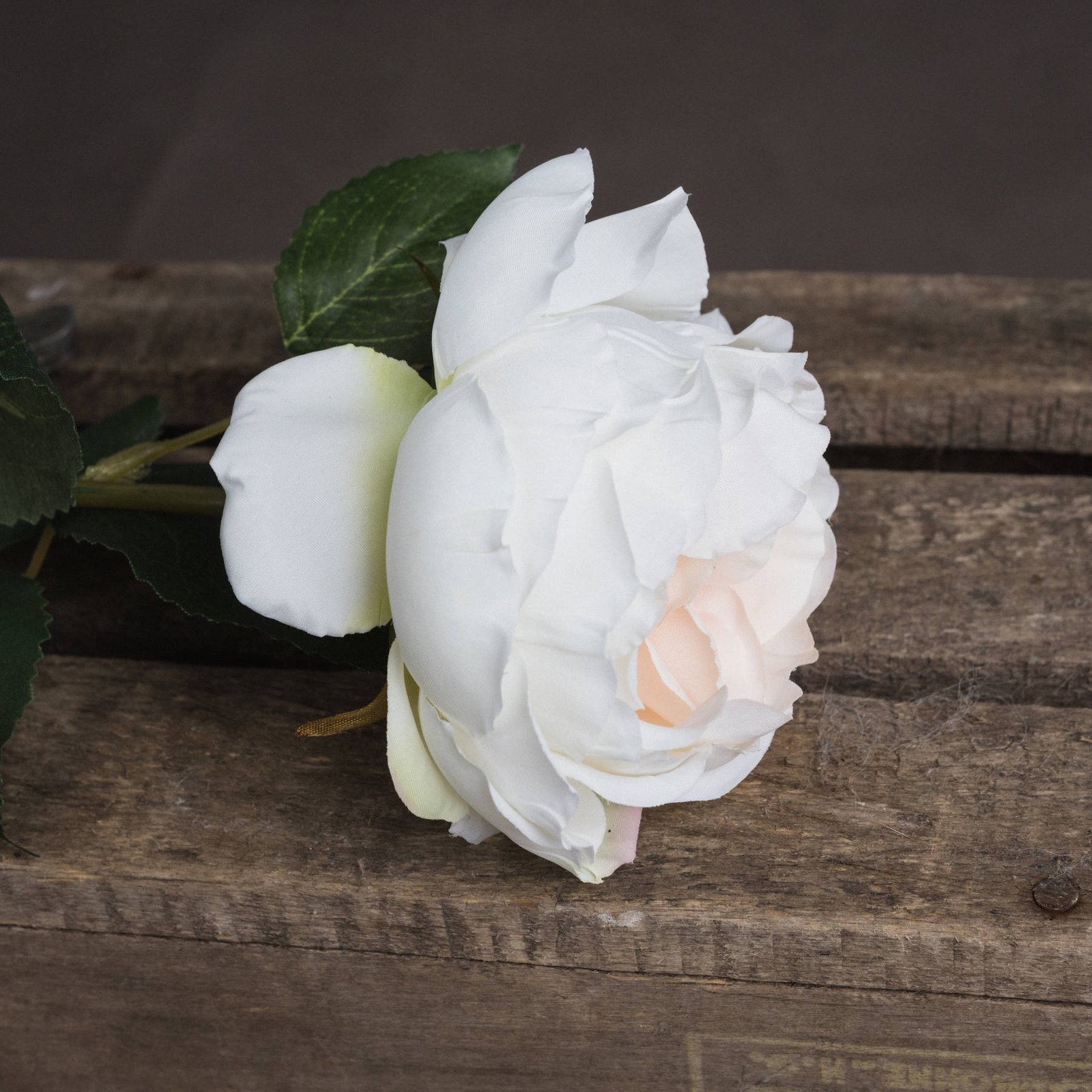 Blush Garden Rose Stem - Image 3