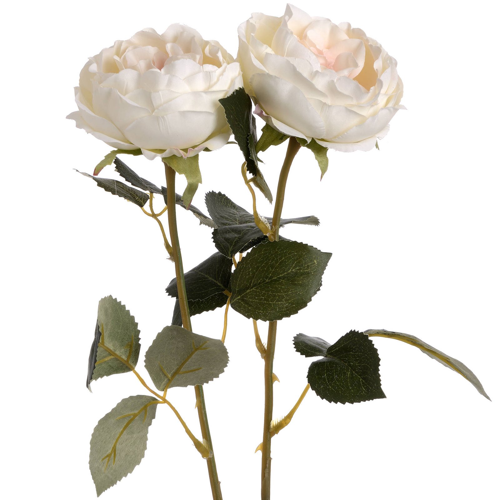 Blush Garden Rose Stem - Image 4