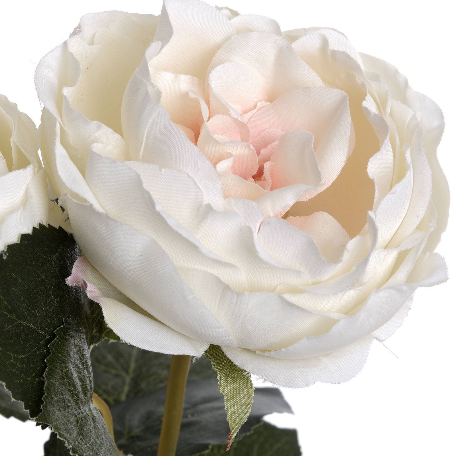Blush Garden Rose Stem - Image 5