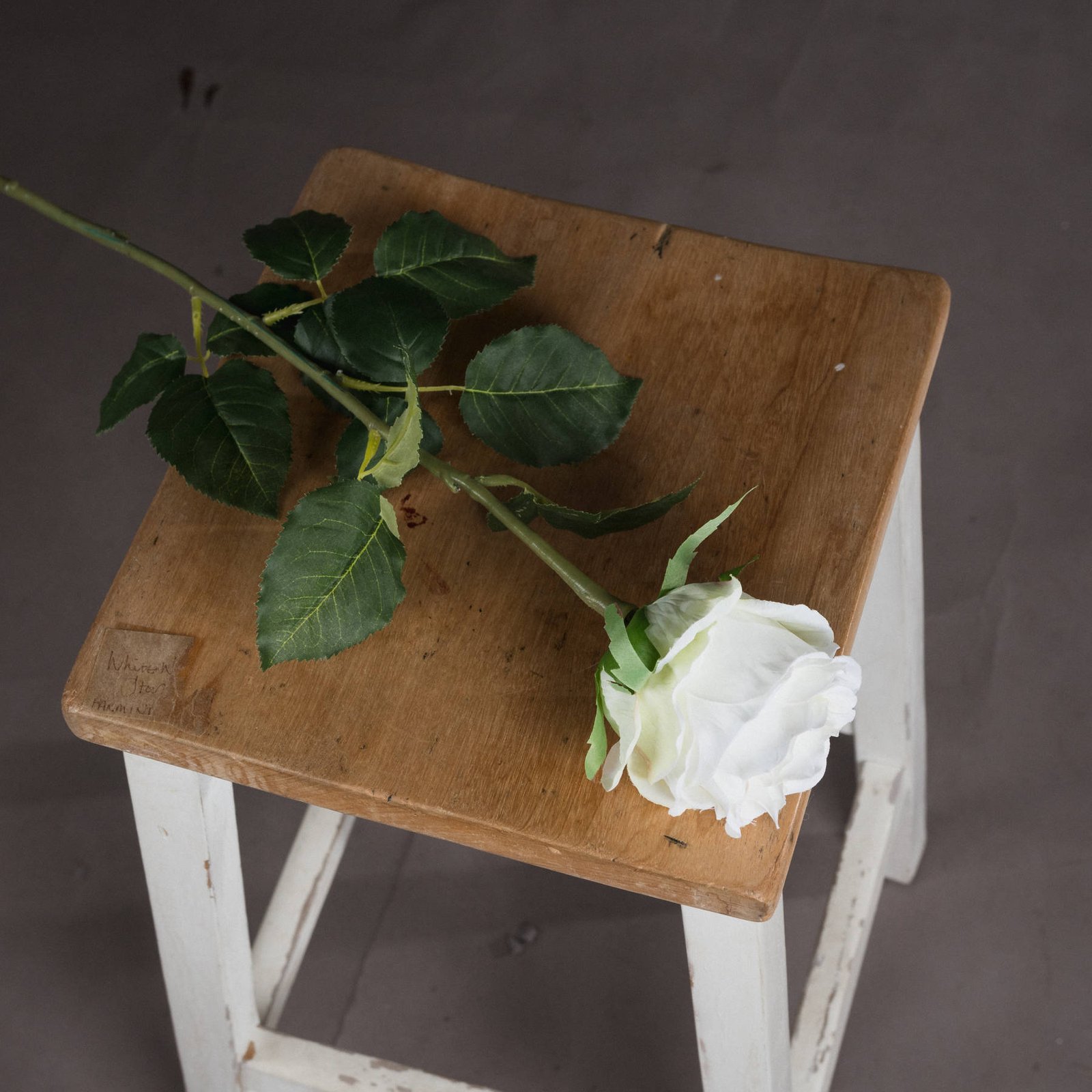 Classic White Rose Stem - Image 2