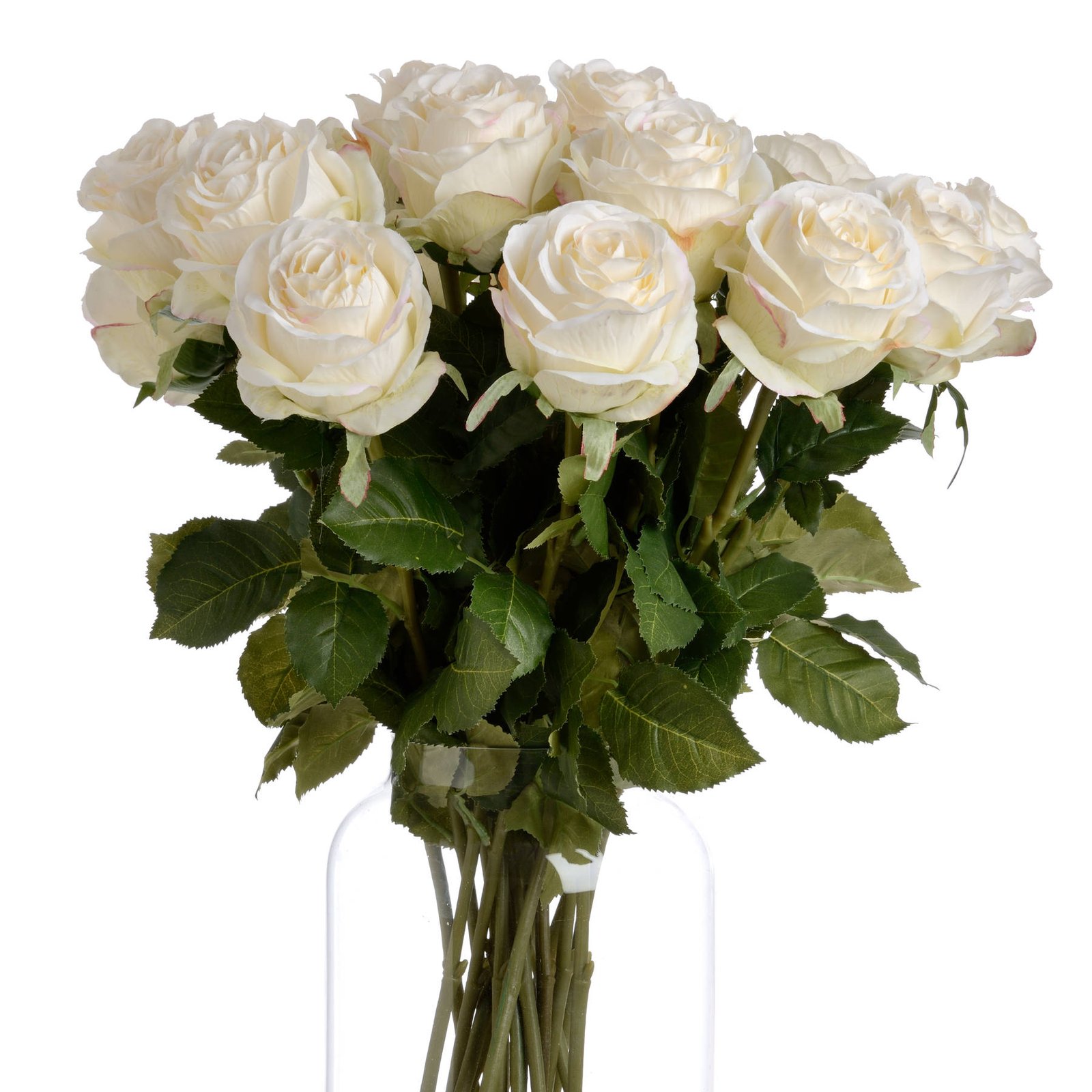 Classic White Rose Stem - Image 4