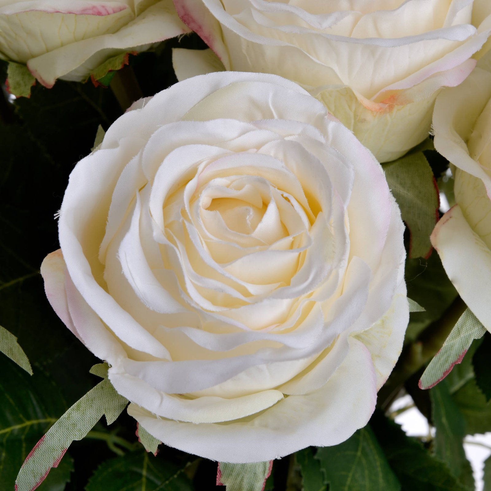 Classic White Rose Stem - Image 5