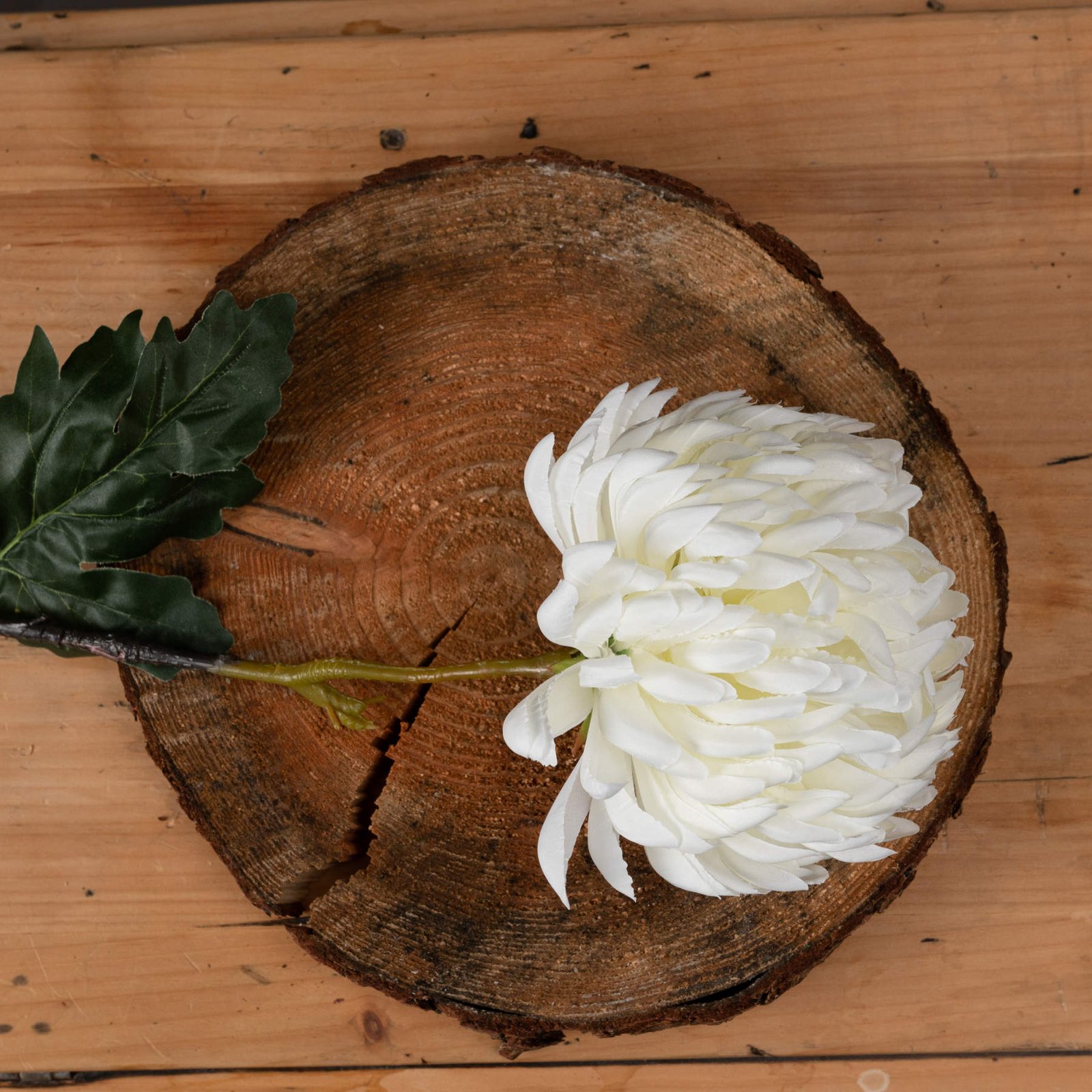 Ivory Chrysanthemum Stem - Image 2