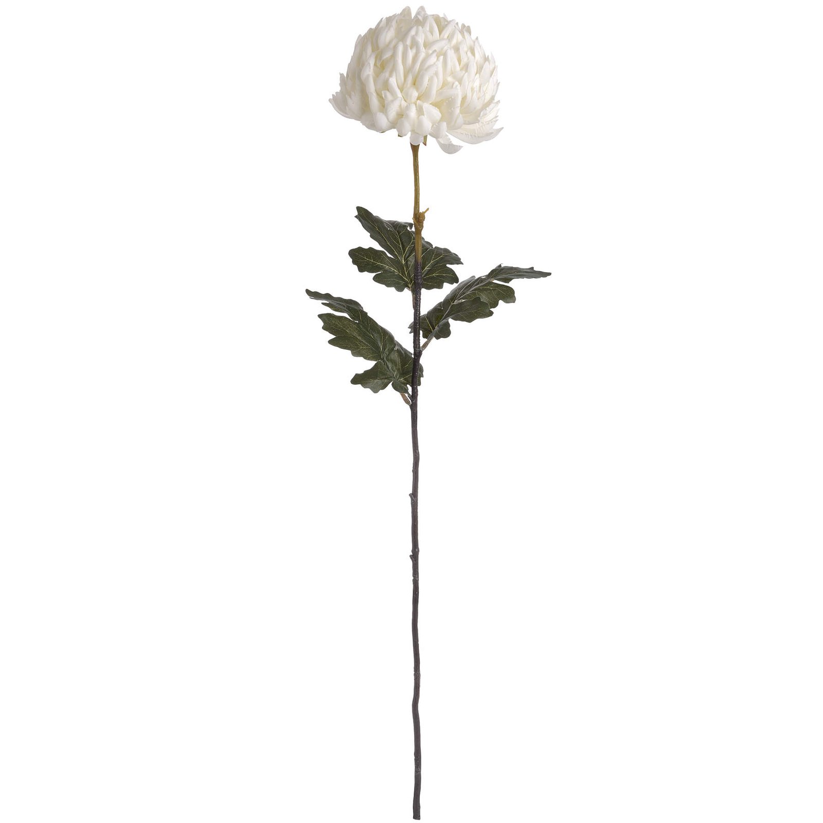 Ivory Chrysanthemum Stem - Image 4