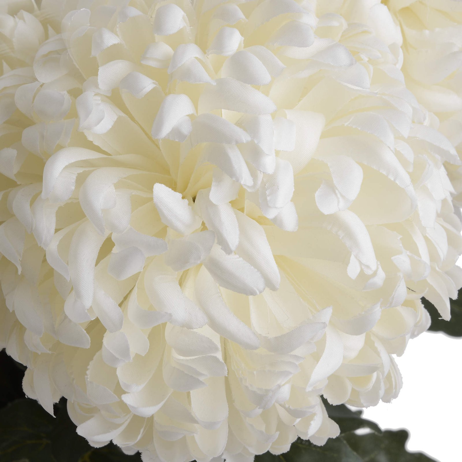 Ivory Chrysanthemum Stem - Image 5