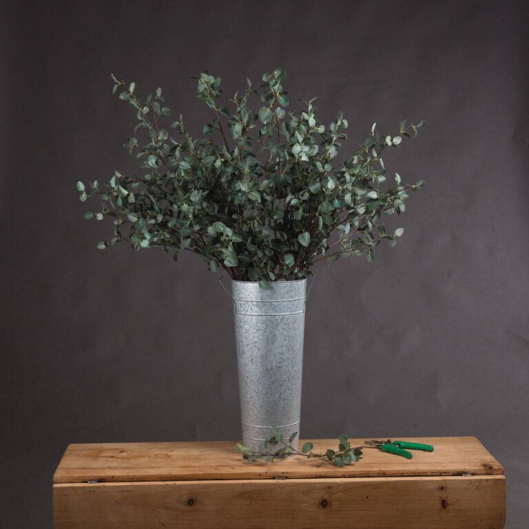 natural tall eucalyptus stem