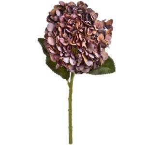 Autumn Coffee Hydrangea Stem