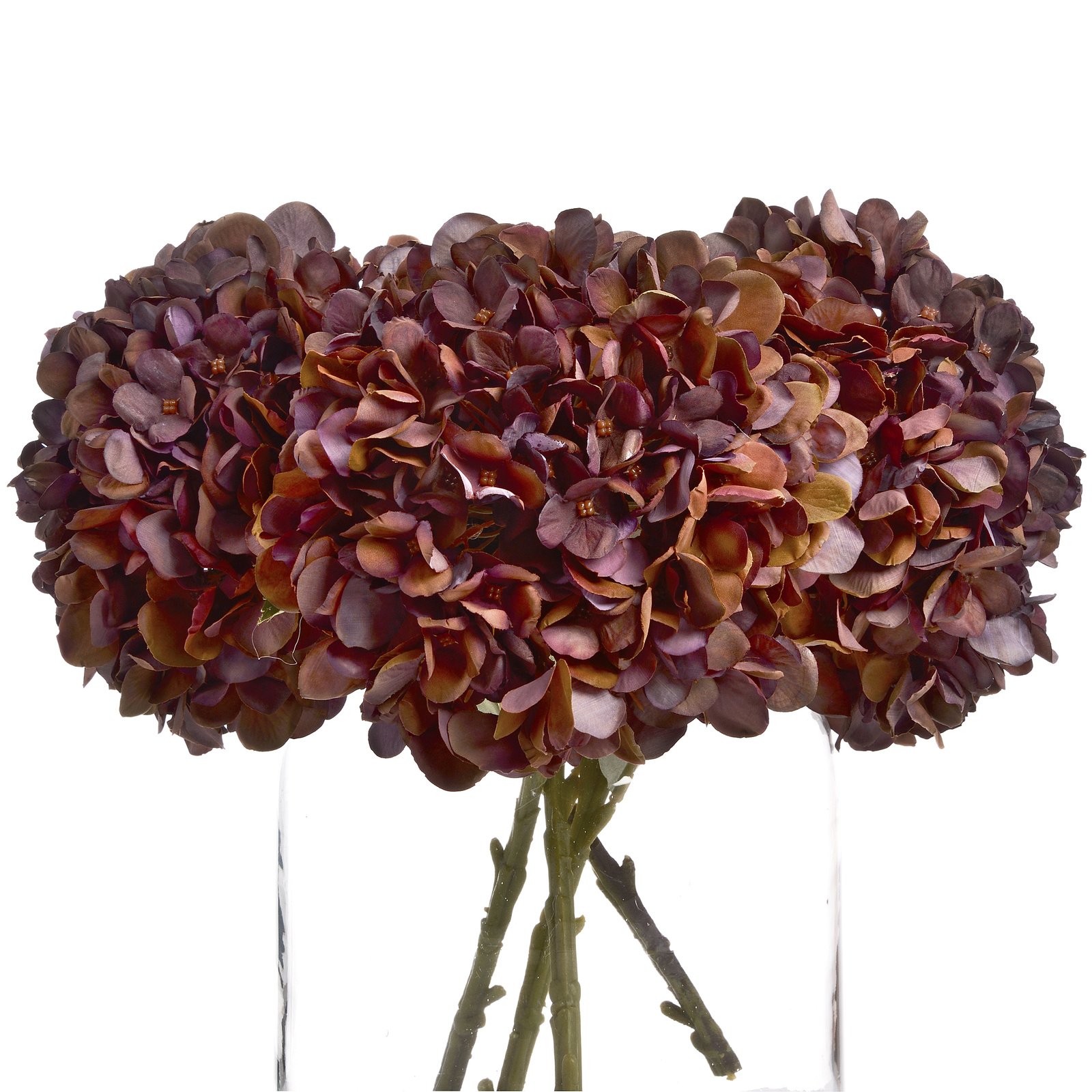 Autumn Coffee Hydrangea Stem - Image 4