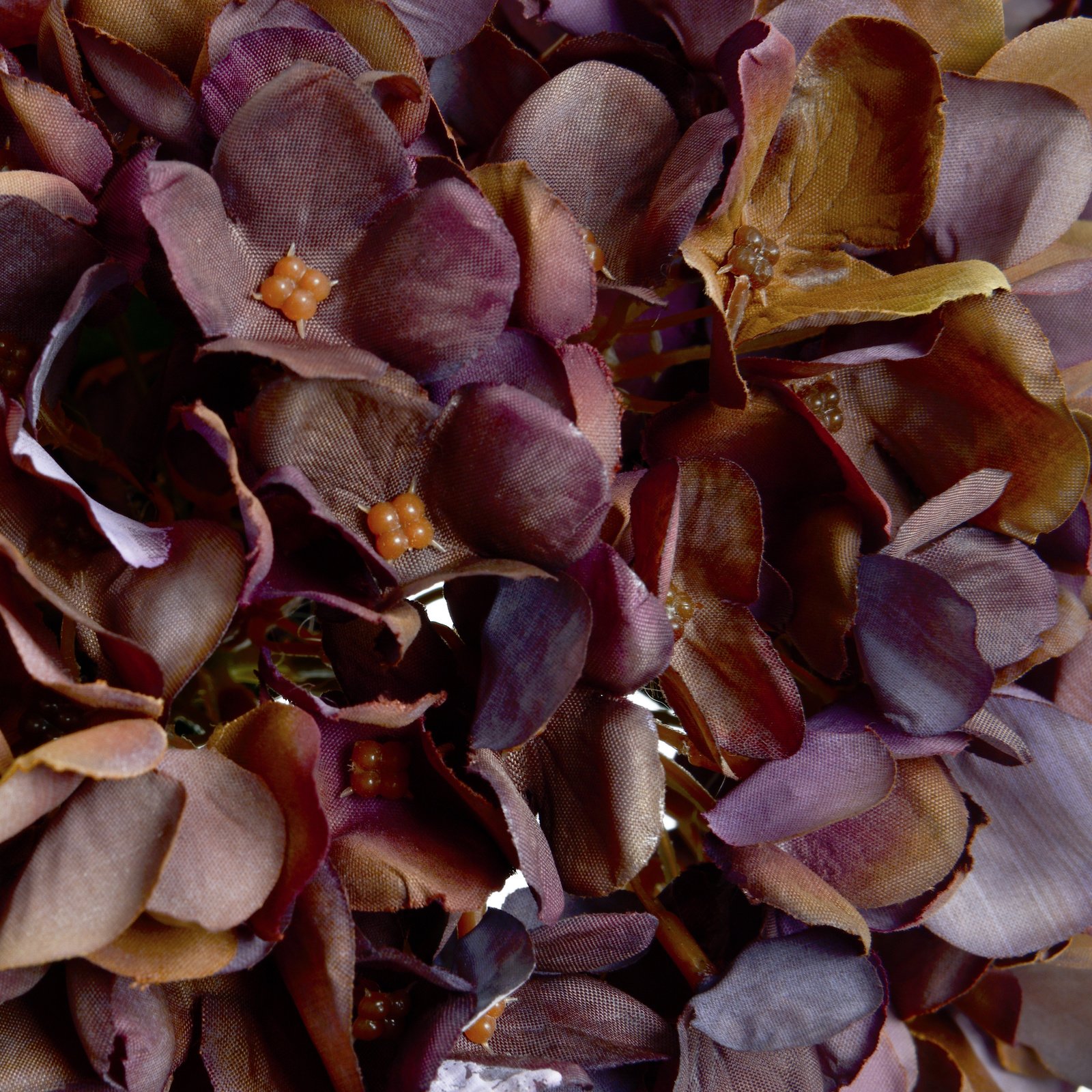 Autumn Coffee Hydrangea Stem - Image 5