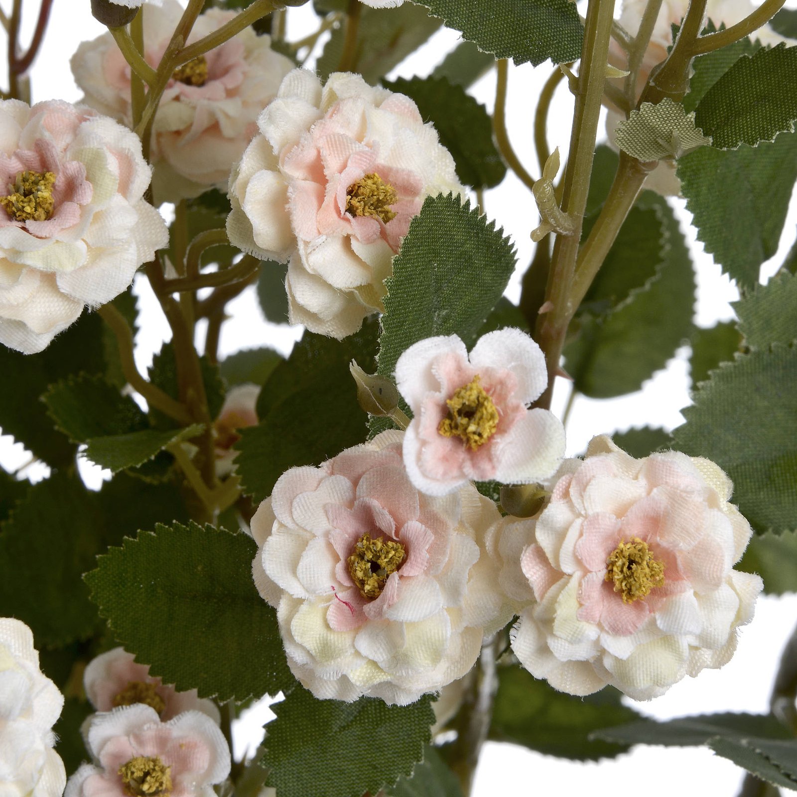 Meadow Cream Rose Spray - Image 5