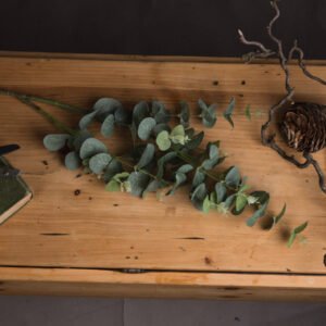 Artificial Eucalyptus Stem