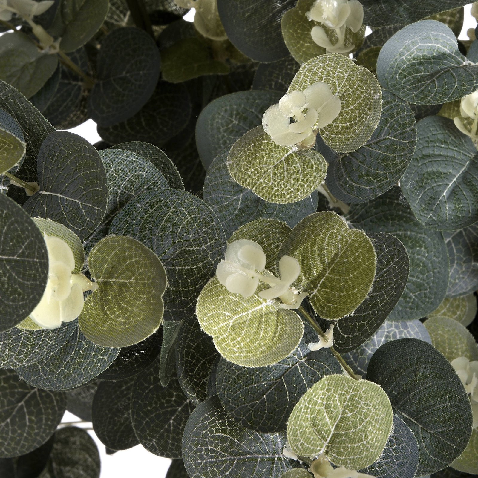 Artificial Eucalyptus Stem - Image 5