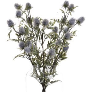 Blue Eryngium Thistle Stem