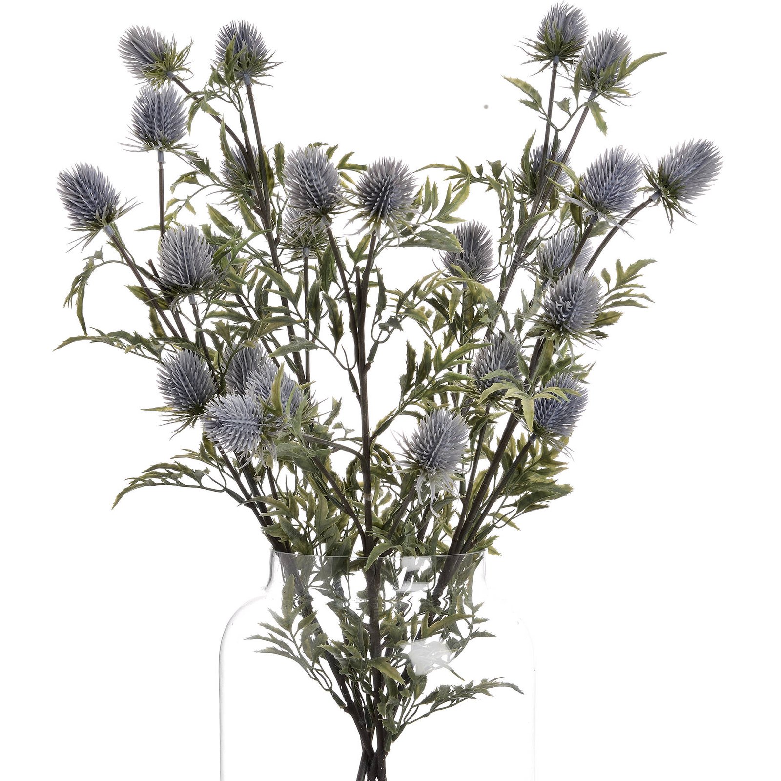 Blue Eryngium Thistle Stem - Image 4