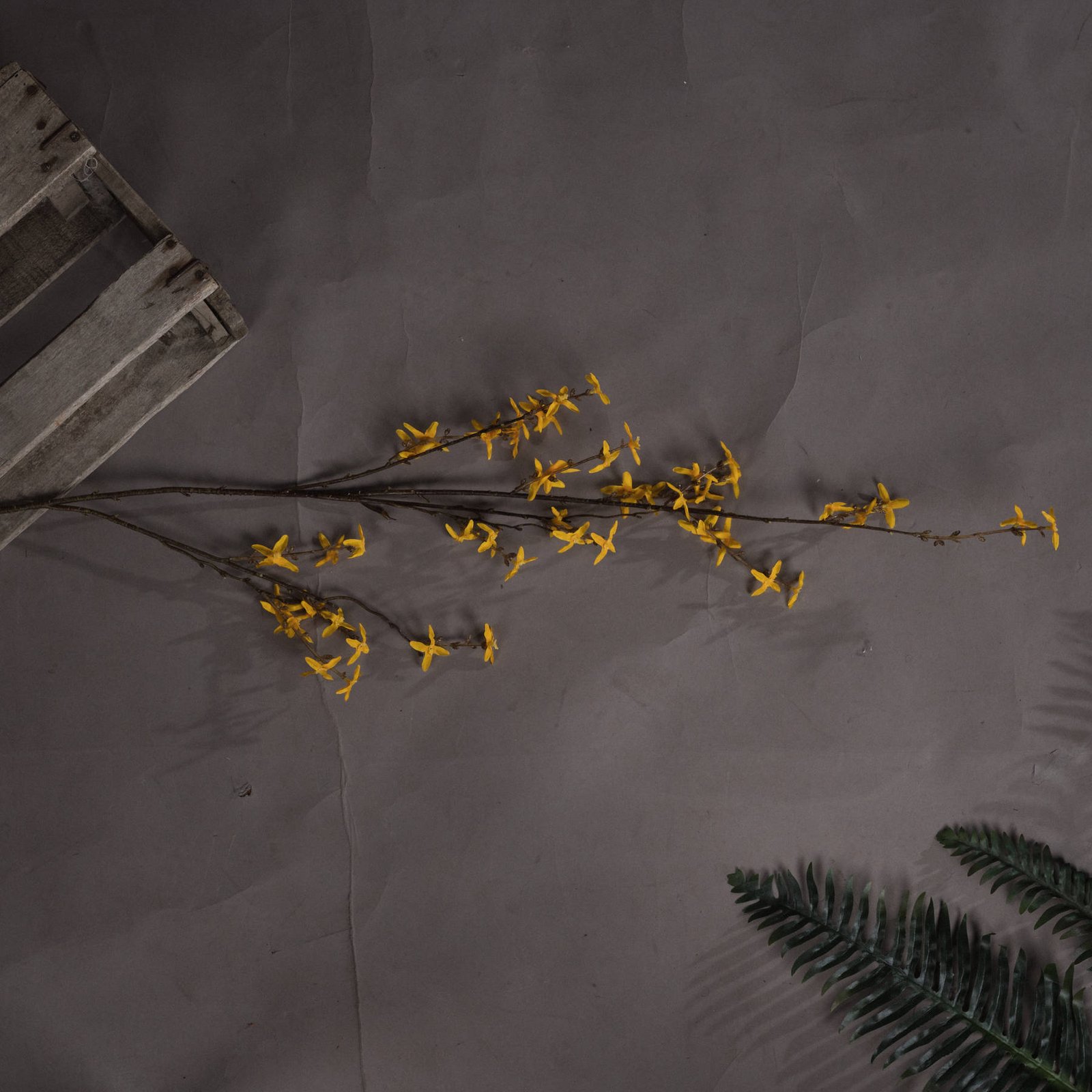 Golden Forsythia Branch - Image 2