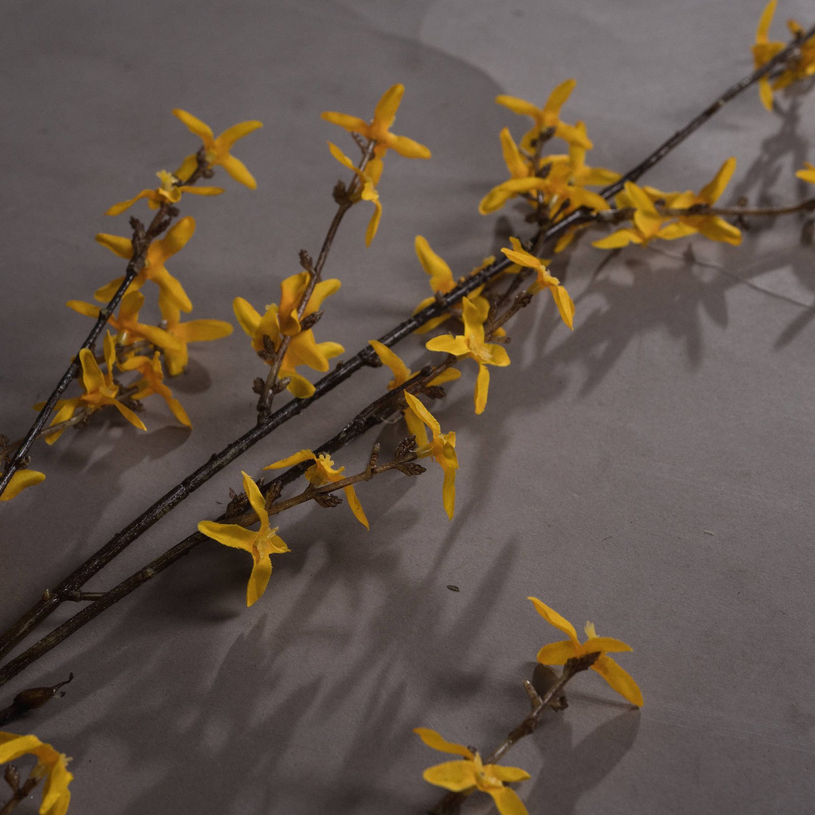 Golden Forsythia Branch - Image 3