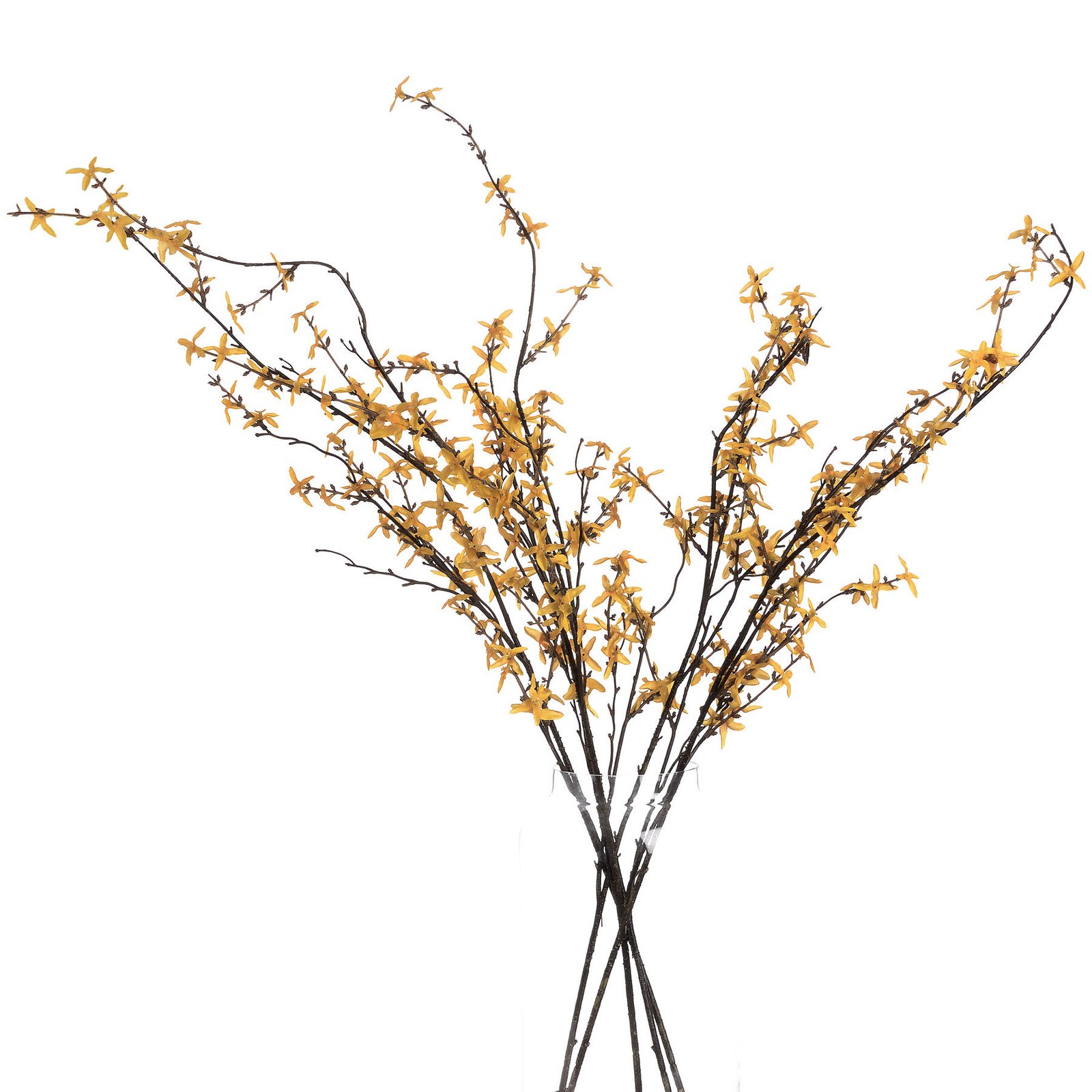 Golden Forsythia Branch - Image 4