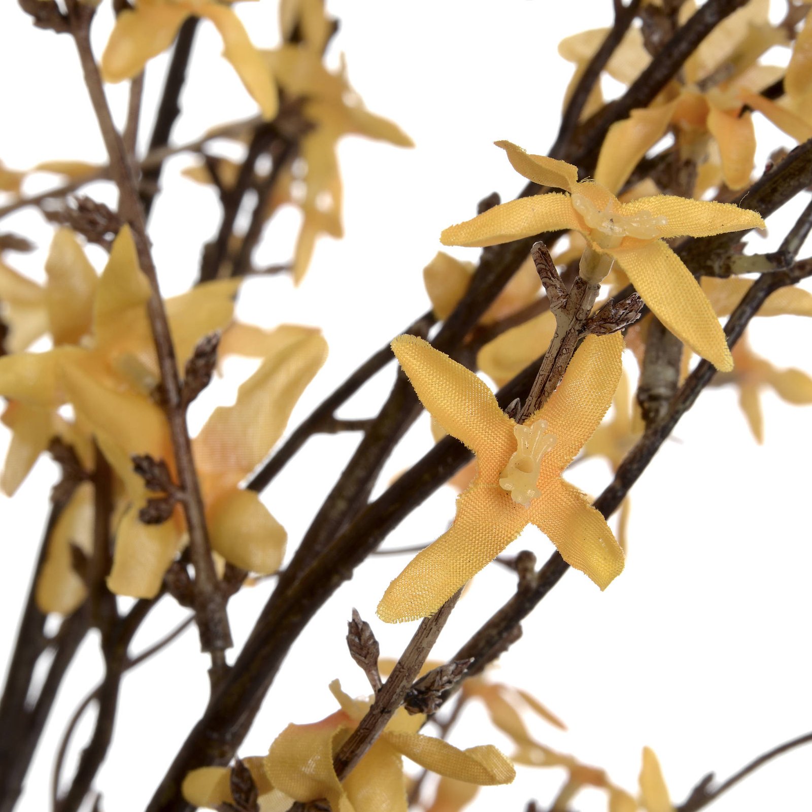 Golden Forsythia Branch - Image 5