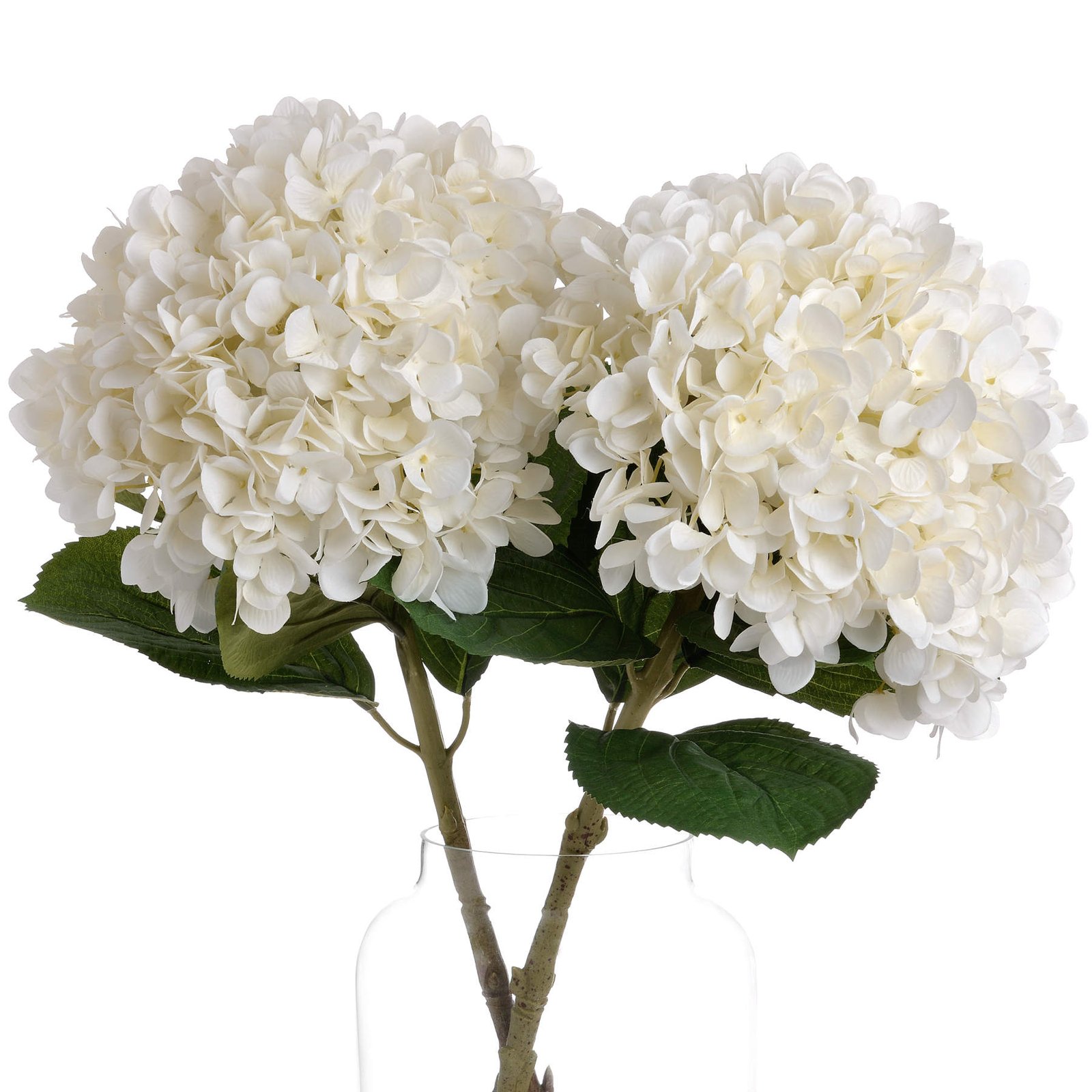 Oversized White Hydrangea - Image 2