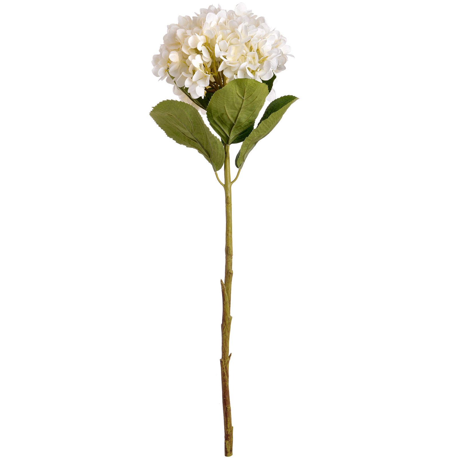 Oversized White Hydrangea - Image 3