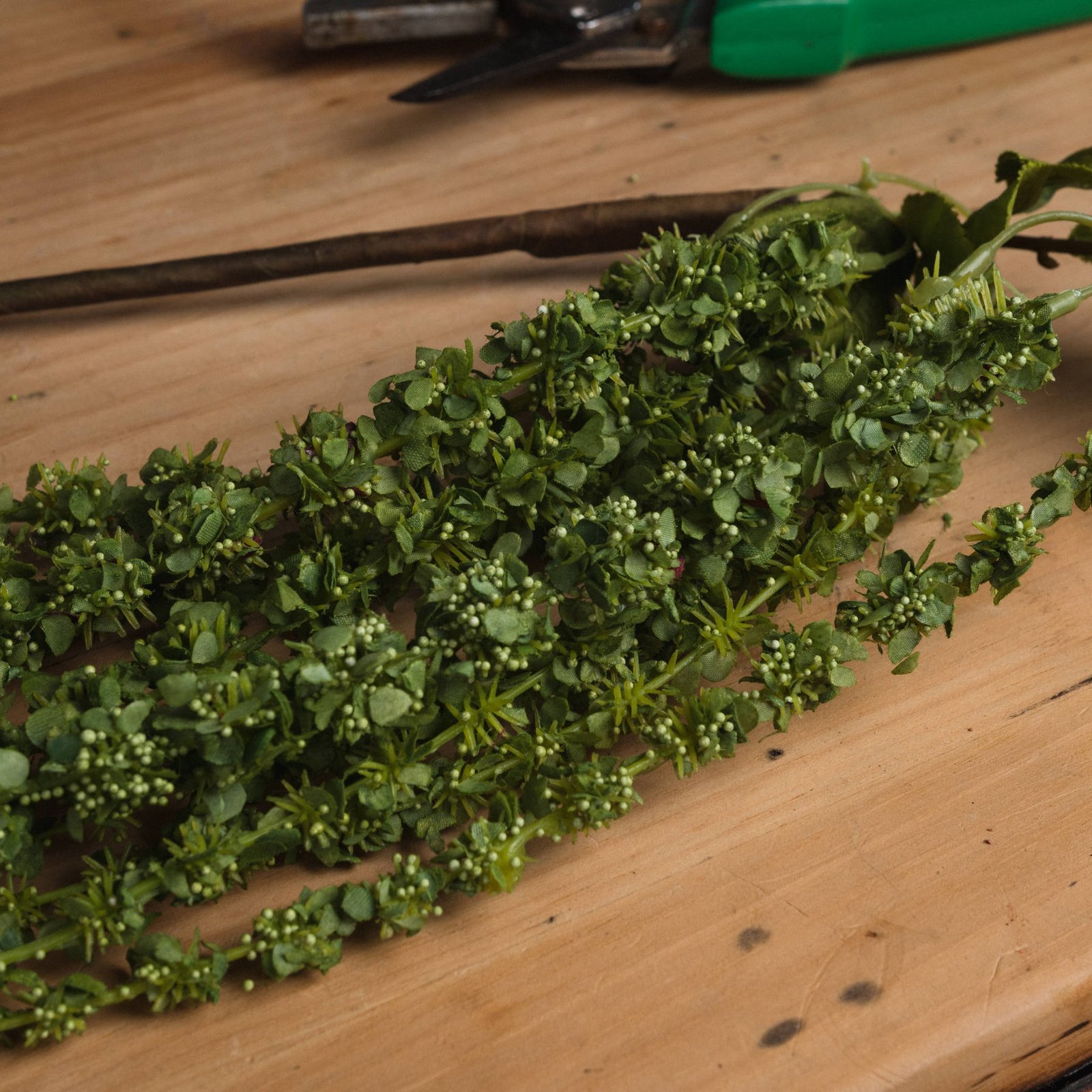 Green Amaranthus Trailing Stem - Image 3