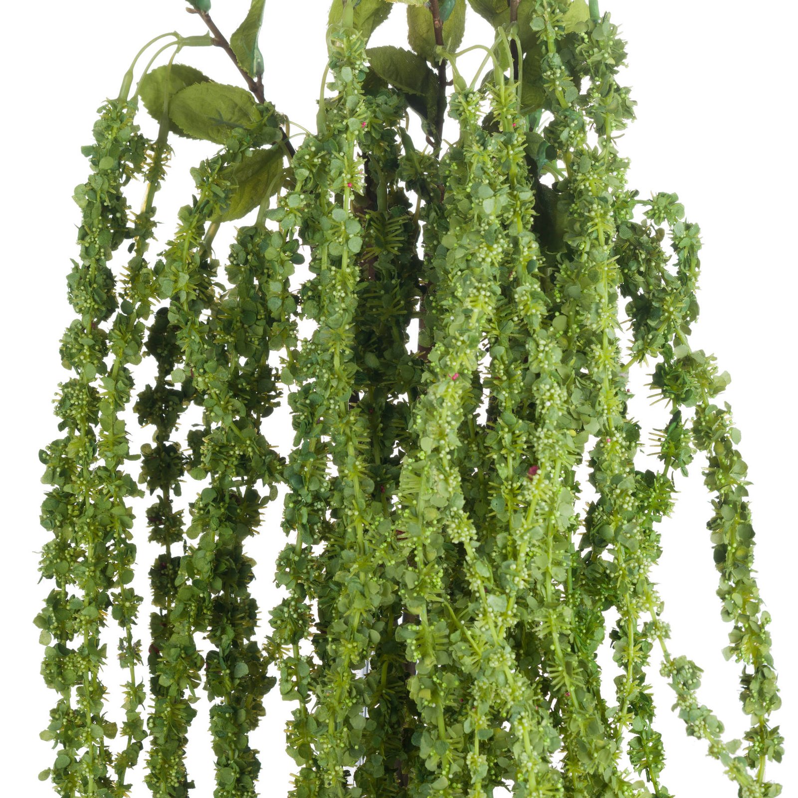 Green Amaranthus Trailing Stem - Image 5