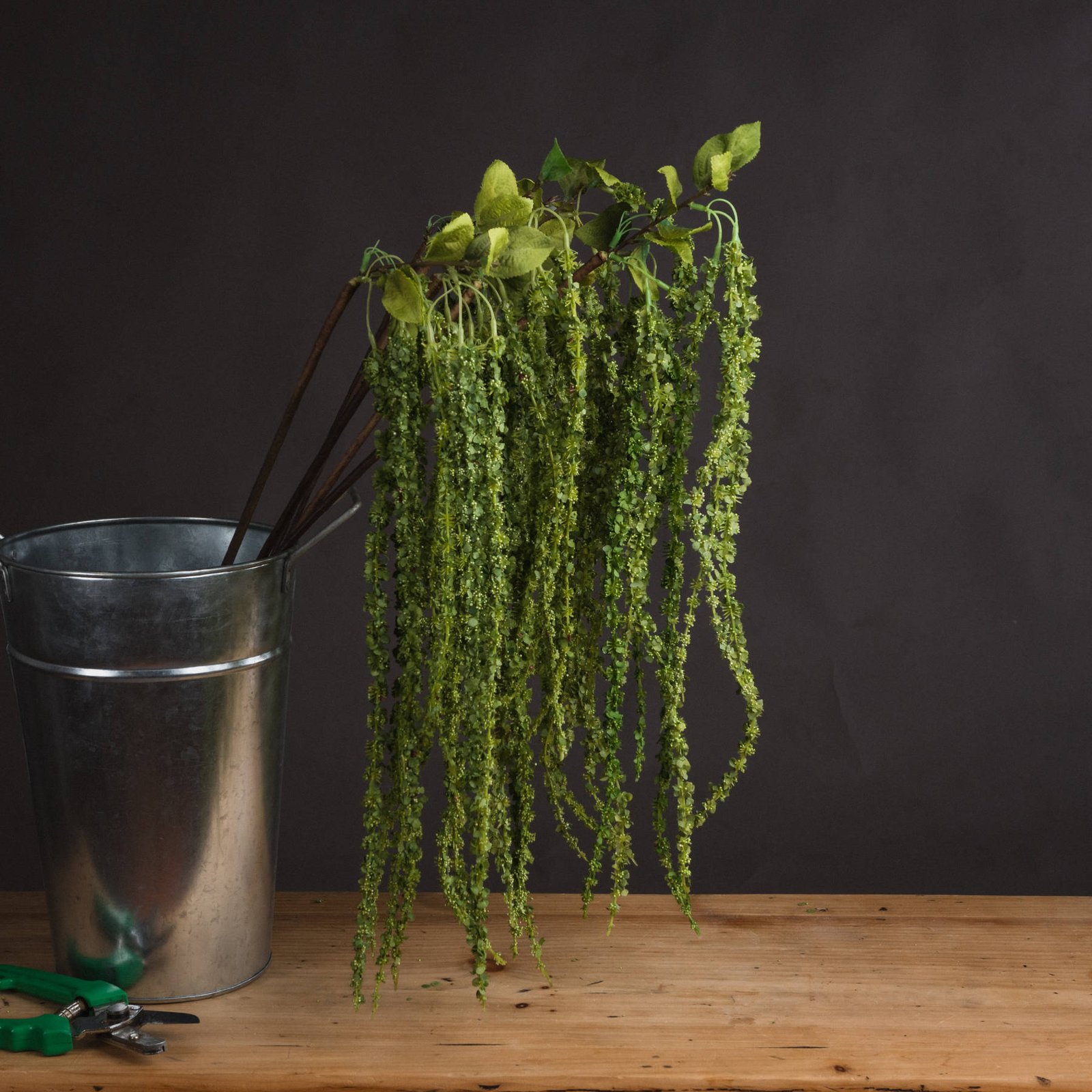 artificial amaranthus stem