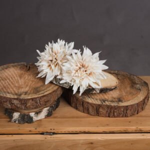 Artificial Café Au Lait Dahlia Stem