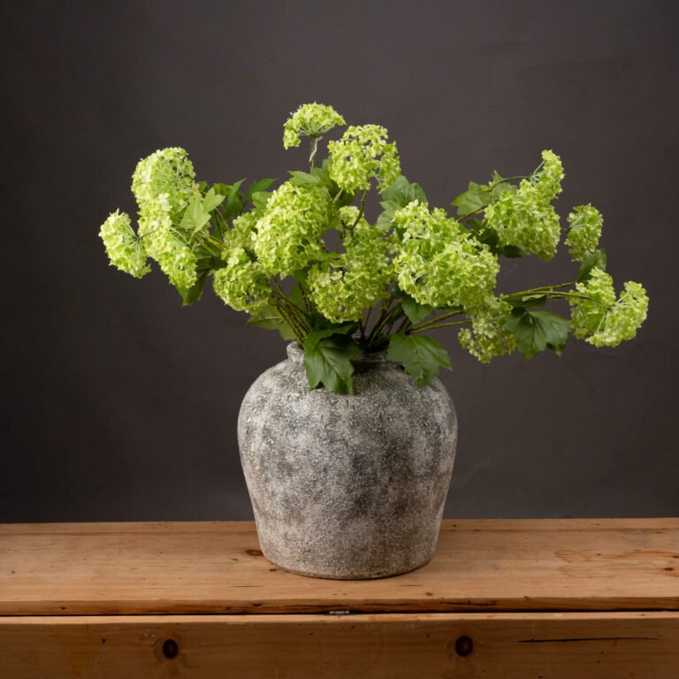 green viburnum spray