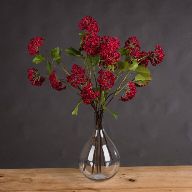 Red Viburnum Stem