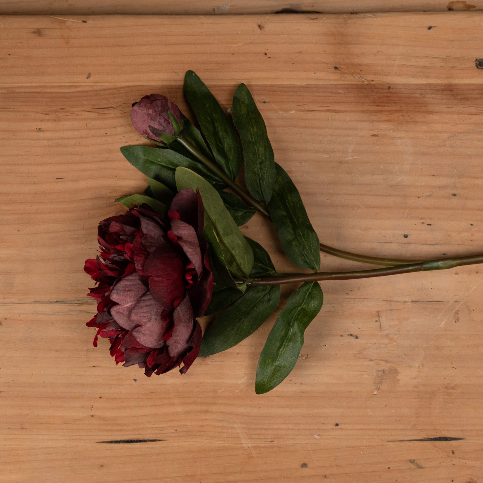 Burgundy Peony Rose Stem - Image 2