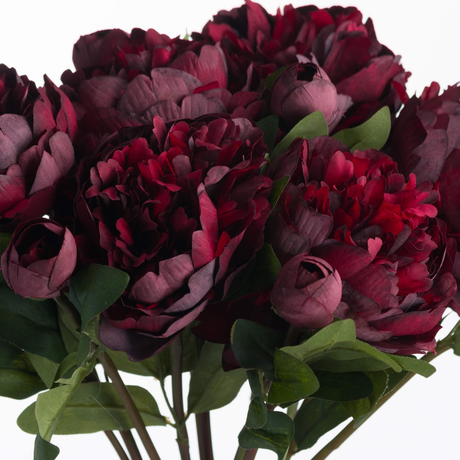 Burgundy Peony Rose Stem - Image 5