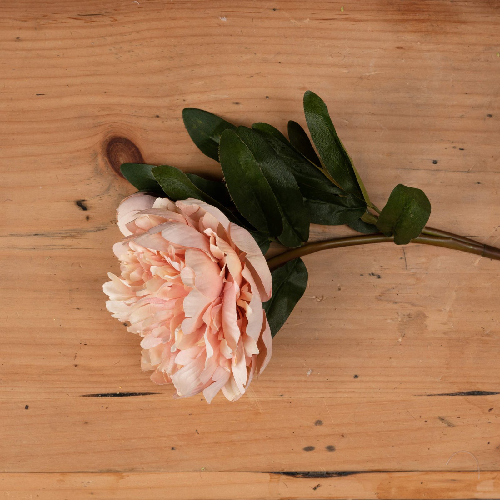 Peach Artificial Peony Stem - Image 2