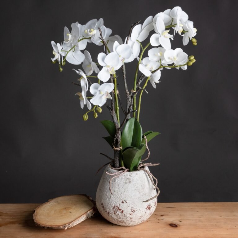 artificial white orchid