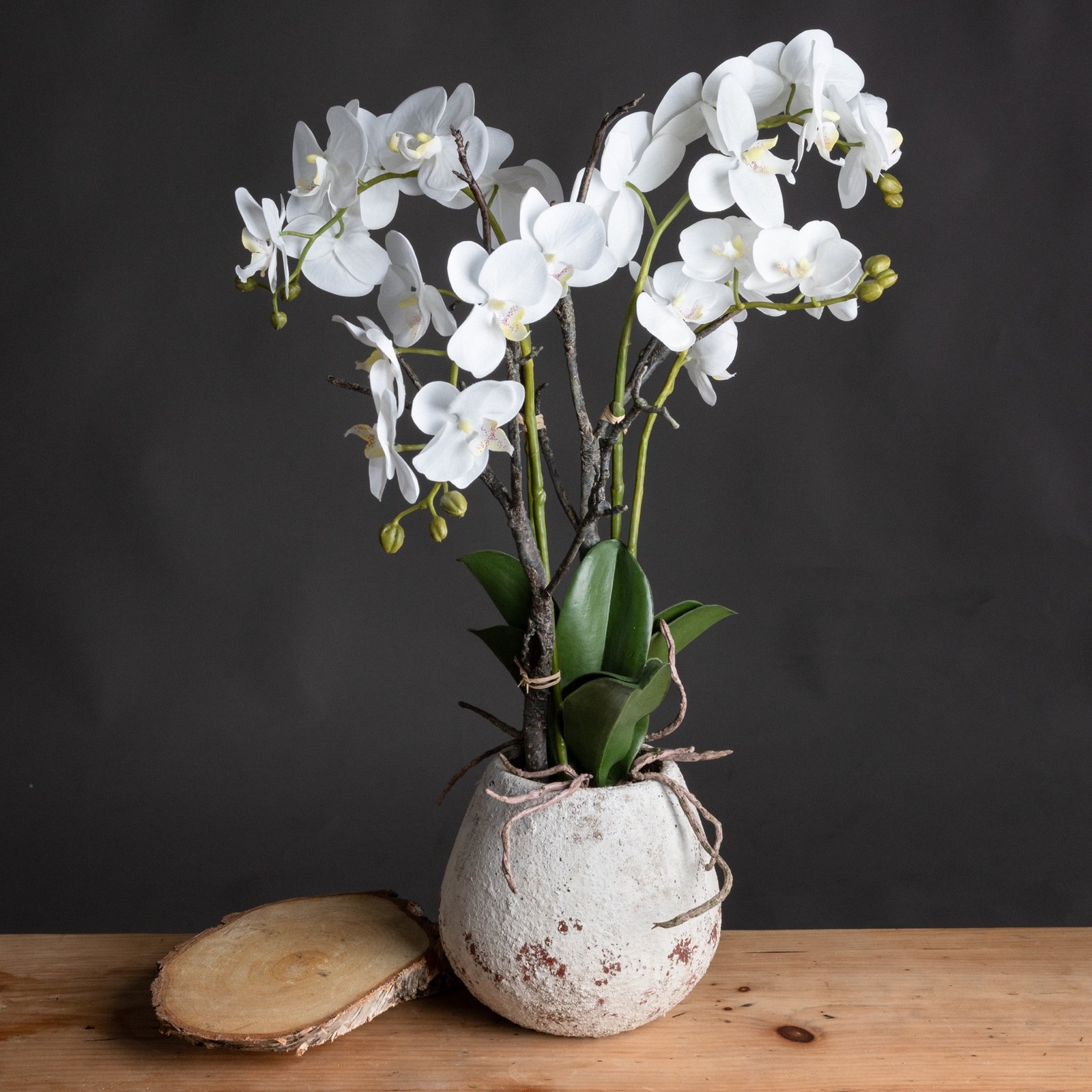 artificial white orchid