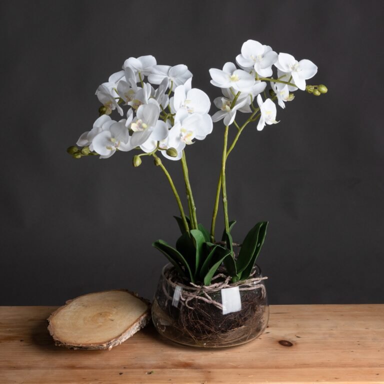 artificial white orchid in pot