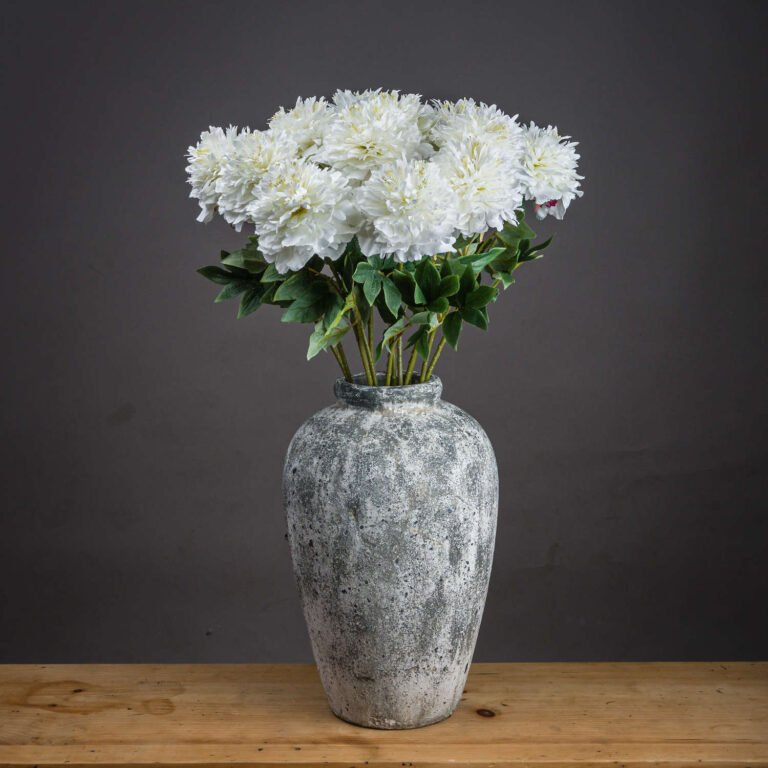 white classic white peony