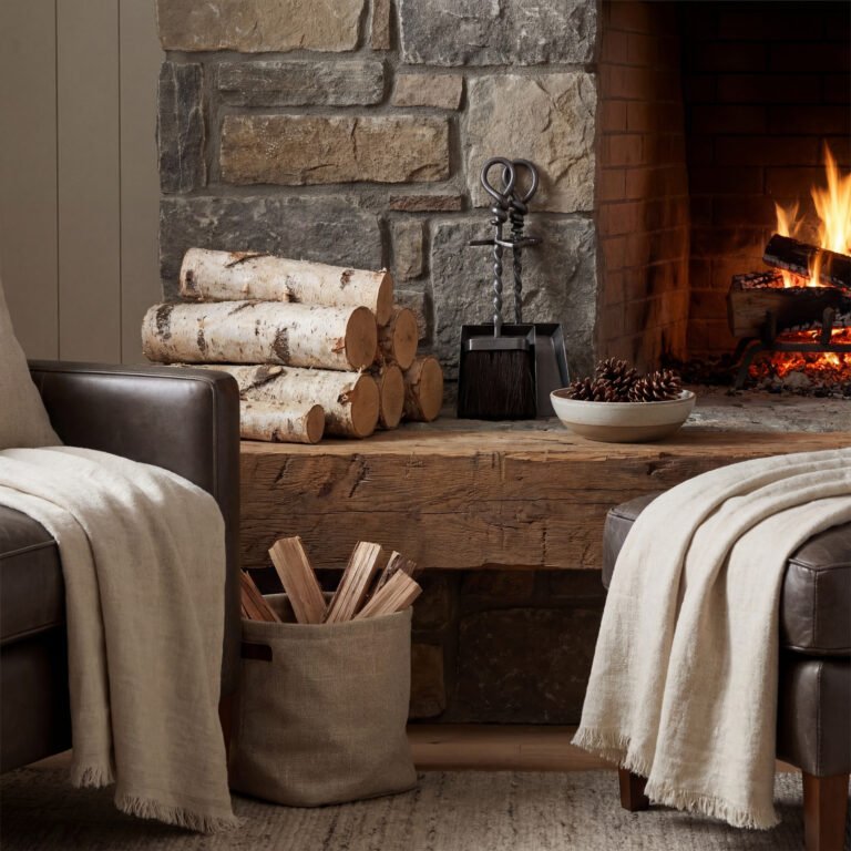 fireplace brush and shovel