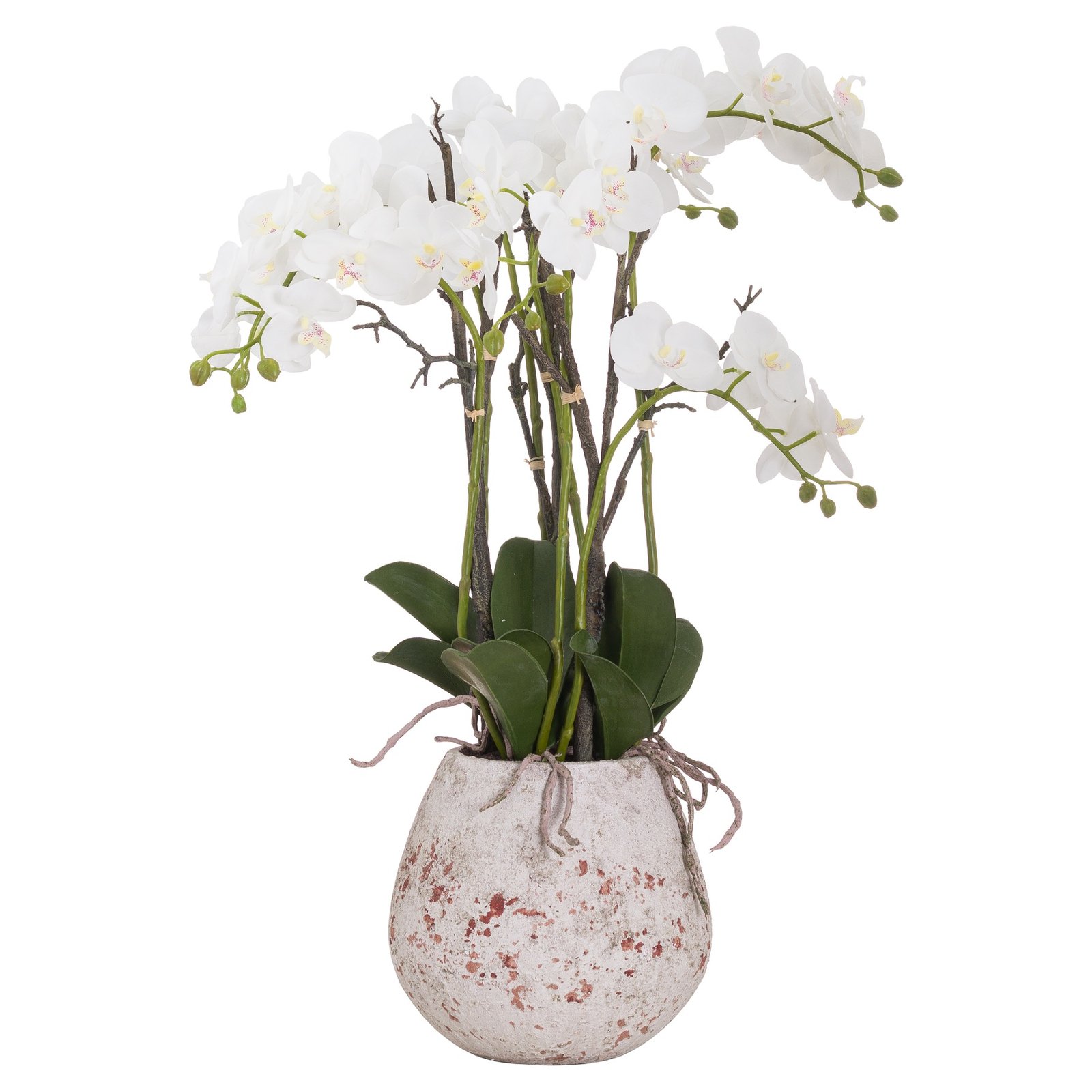 large artificial orchid