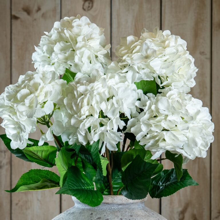 white single white hydrangea