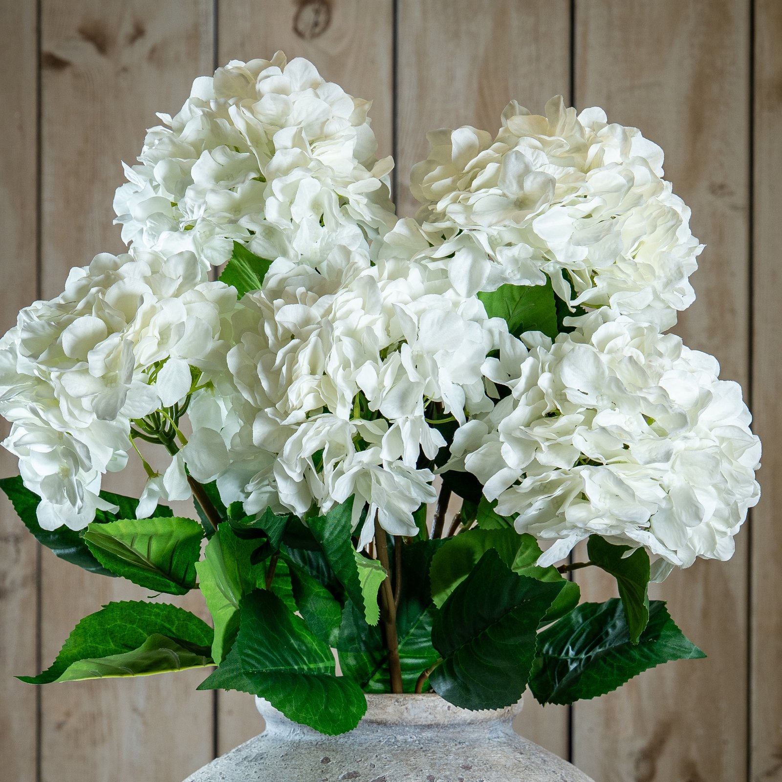 white single white hydrangea