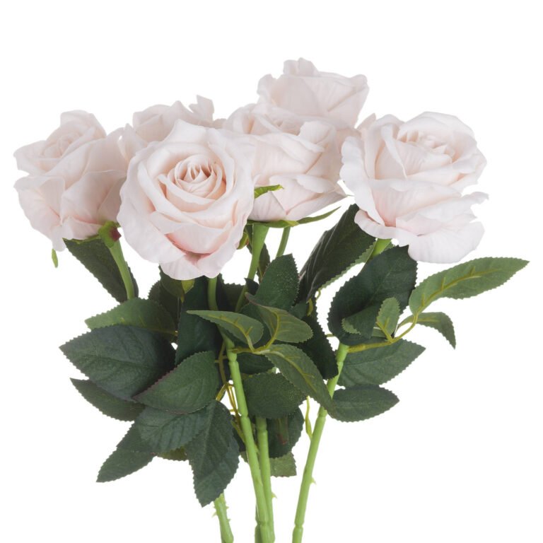 pastel pink pastel pink tea rose