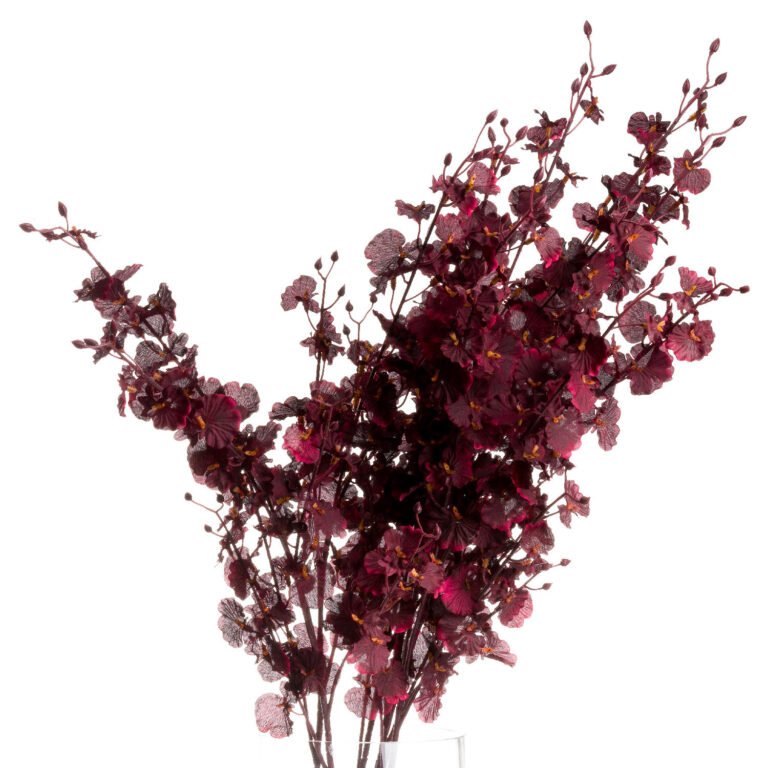 deep burgundy deep burgundy orchid spray