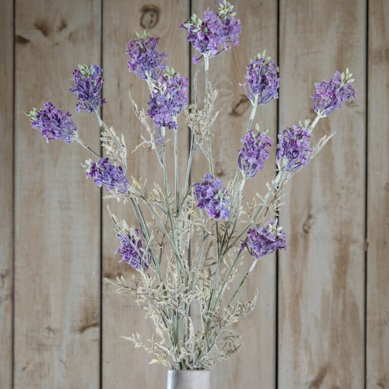 purple purple meadow flower