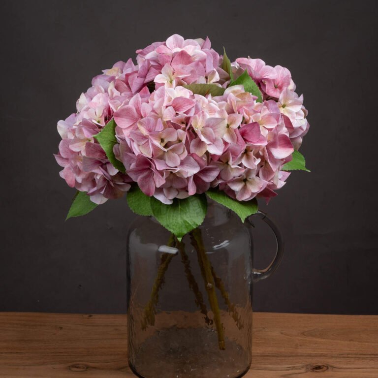 pink shabby pink single hydrangea