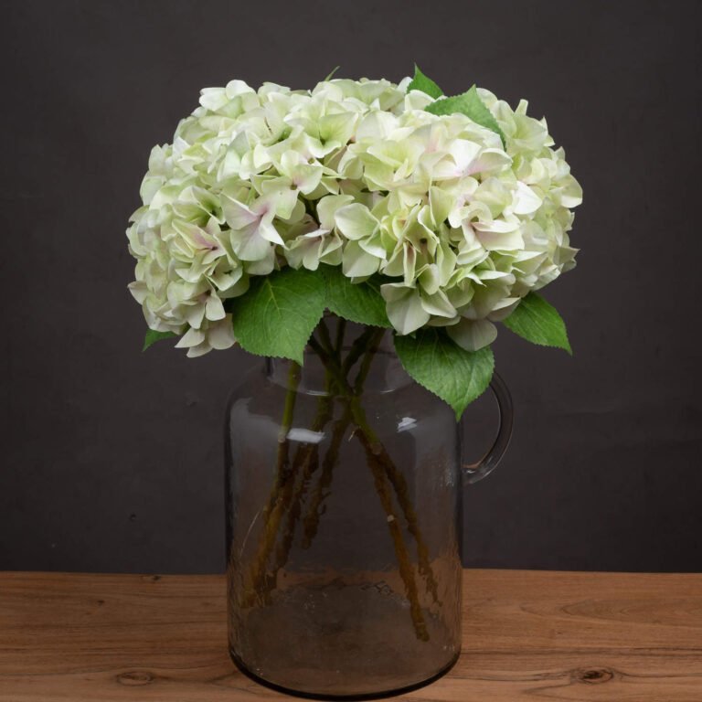 green shabby green single hydrangea