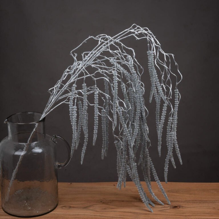 silver festive silver amaranthus
