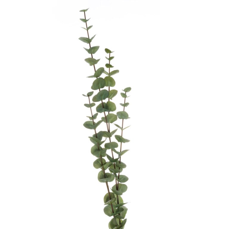 natural large cineraria eucalyptus spray