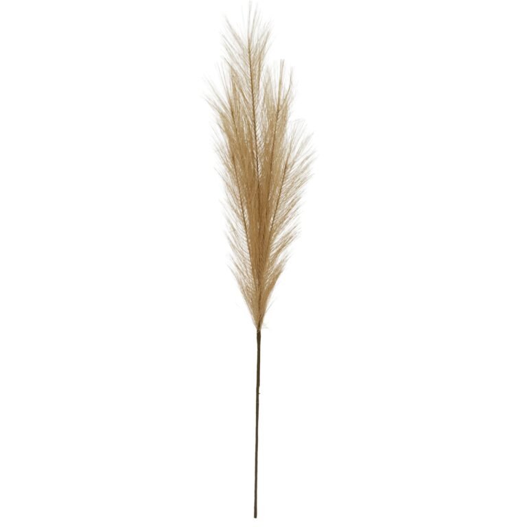 natural faux pampas grass stem