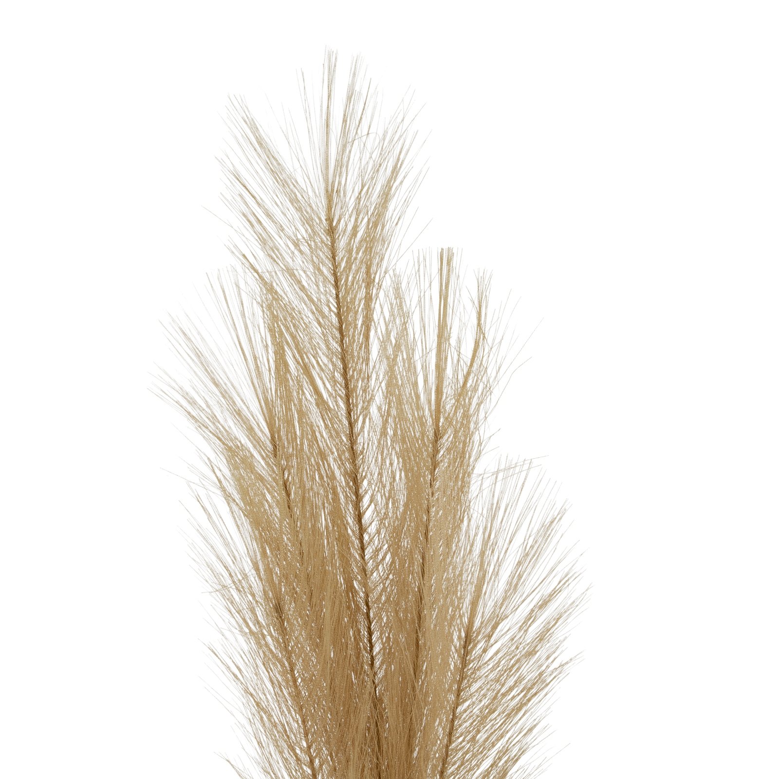 Faux Pampas Grass Stem - Image 2